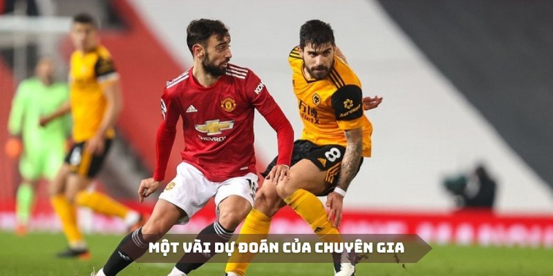 Một số dự đoán của chuyên gia khi soi kèo Wolverhampton Vs MU