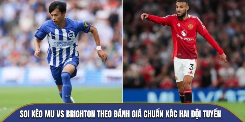 Soi kèo MU vs Brighton theo đánh giá chuẩn xác hai đội tuyển