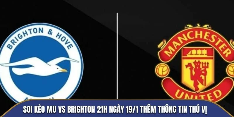 soi kèo mu vs brighton tại xôi lạc tv