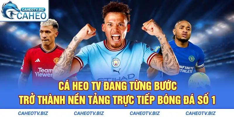 Cá Heo TV đang từng bước trở thành nền tảng trực tiếp bóng đá số 1